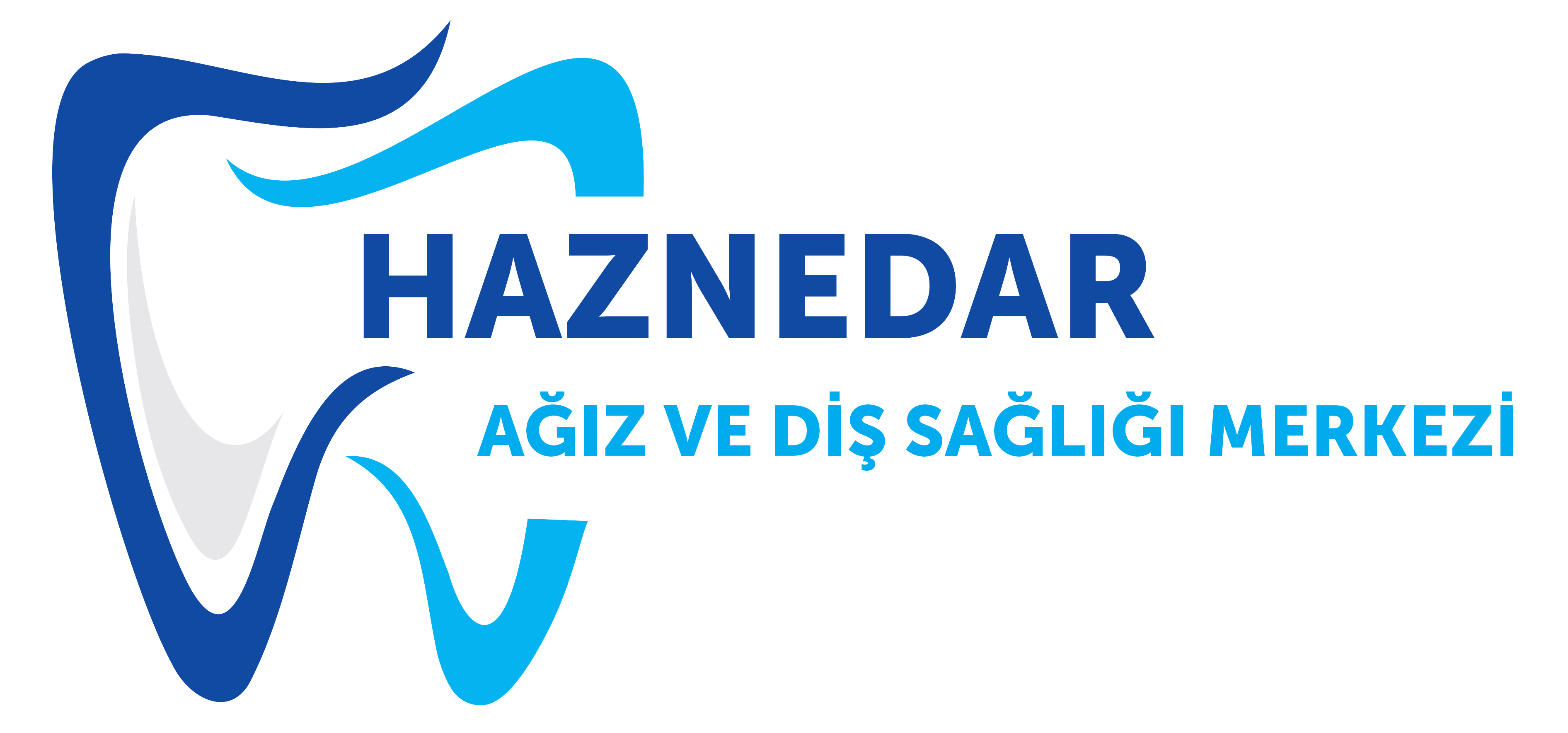 cropped-cropped-cropped-Haznedar-Logo.png